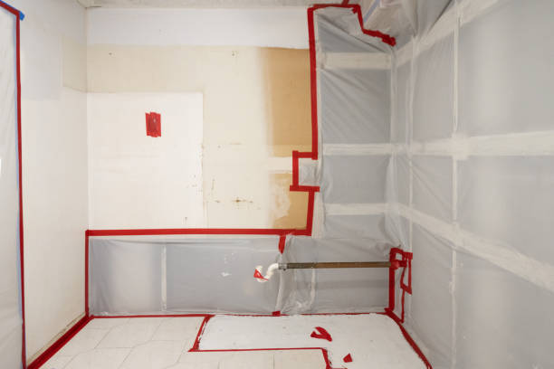 Best Forensic Mold Investigation  in Laflin, PA